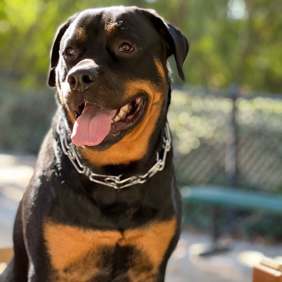 ❤️ Meet Me ❤️ - Picture 4 of 5